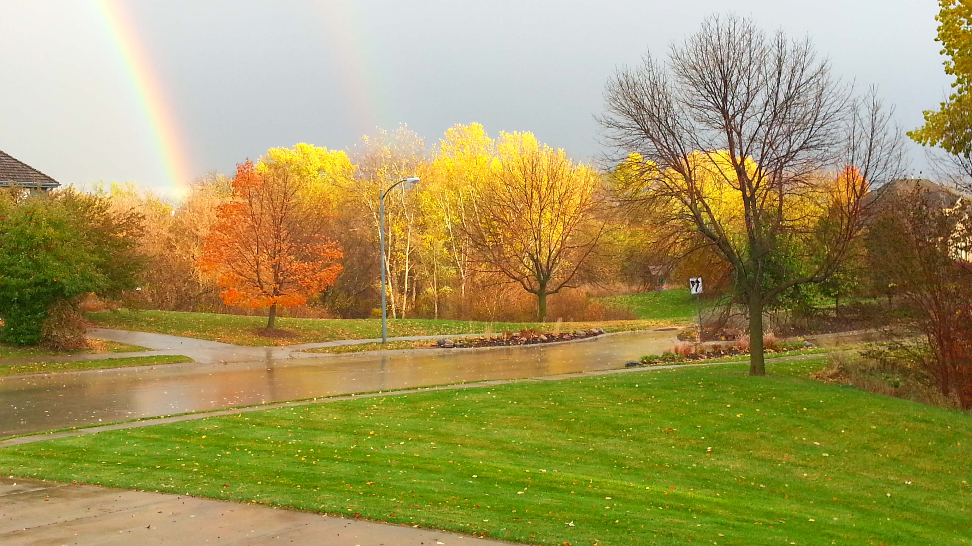 Manicured green lawn in Omaha