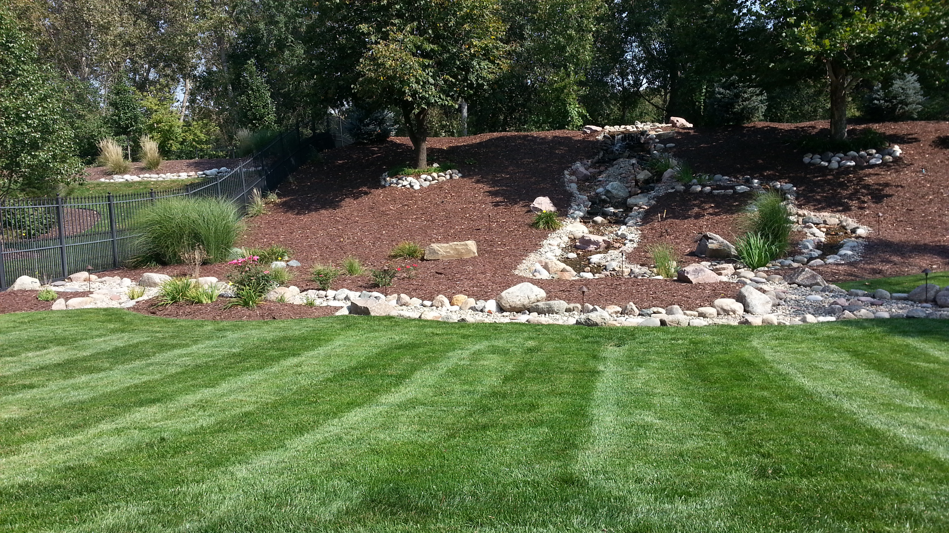 Healthy lawn and landscaping